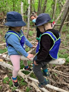 pinnies-safety-walk-vest