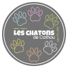 Création de votre logo-garderie, CPE, service de garde, école – Image 5
